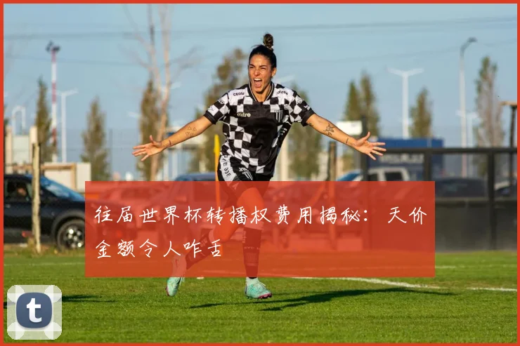 往届世界杯转播权费用揭秘：天价金额令人咋舌