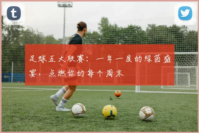 足球五大联赛：一年一度的绿茵盛宴，点燃你的每个周末